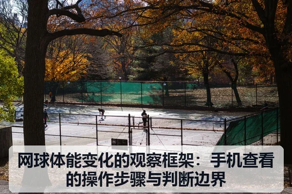 网球体能变化的观察框架：手机查看的操作步骤与判断边界